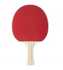 Stiga Bat Evolve-1 Star Masa Tenis Raketi 1211-8318-01 Stiga Bat Evolve-1 Star Masa Tenis Raketi 1211-8318-01